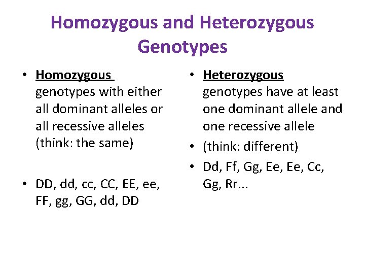 Homozygous and Heterozygous Genotypes • Homozygous genotypes with either all dominant alleles or all