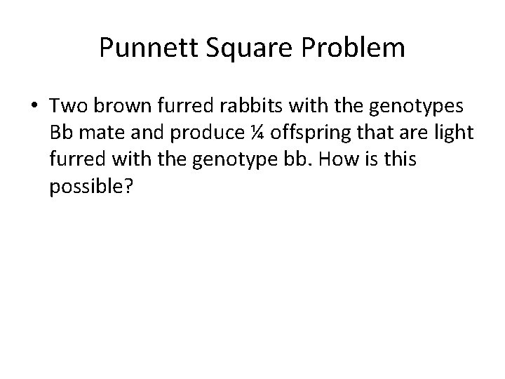 Punnett Square Problem • Two brown furred rabbits with the genotypes Bb mate and