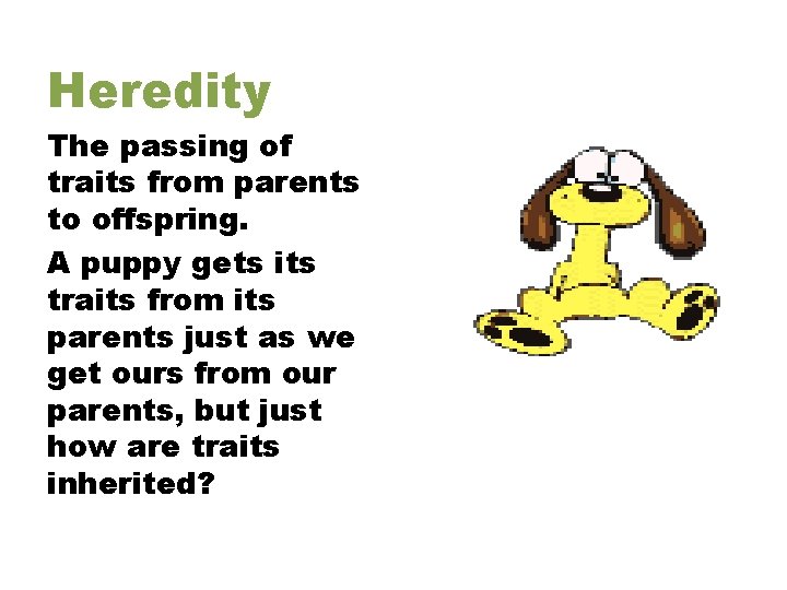 Heredity The passing of traits from parents to offspring. A puppy gets its traits