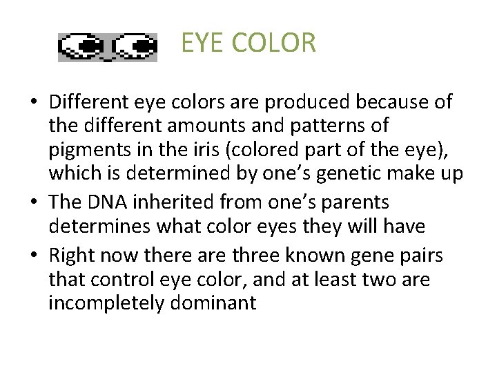 EYE COLOR • Different eye colors are produced because of the different amounts and