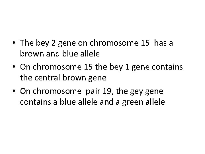  • The bey 2 gene on chromosome 15 has a brown and blue