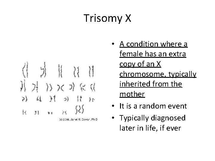 Trisomy X • A condition where a female has an extra copy of an