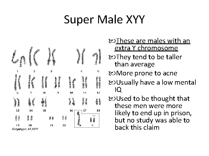 Super Male XYY These are males with an extra Y chromosome They tend to