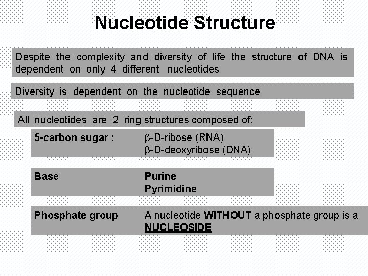 Nucleotide Structure Despite the complexity and diversity of life the structure of DNA is