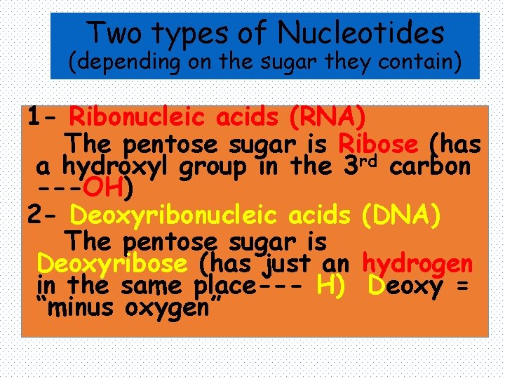 Two types of Nucleotides (depending on the sugar they contain) 1 - Ribonucleic acids