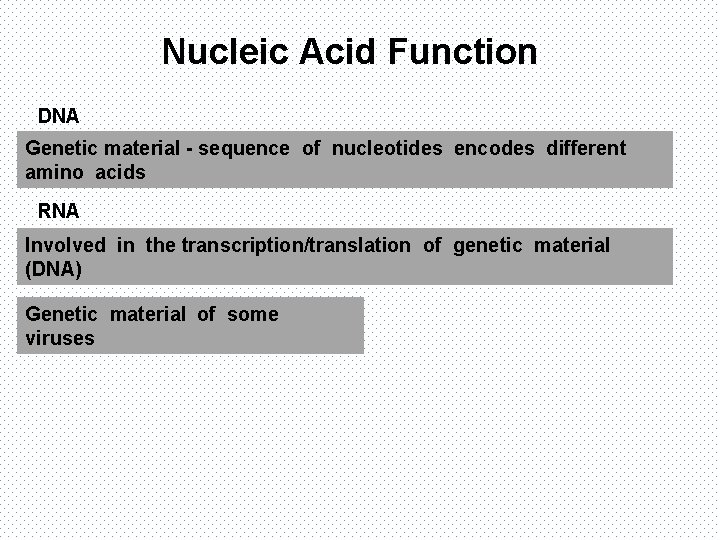 Nucleic Acid Function DNA Genetic material - sequence of nucleotides encodes different amino acids