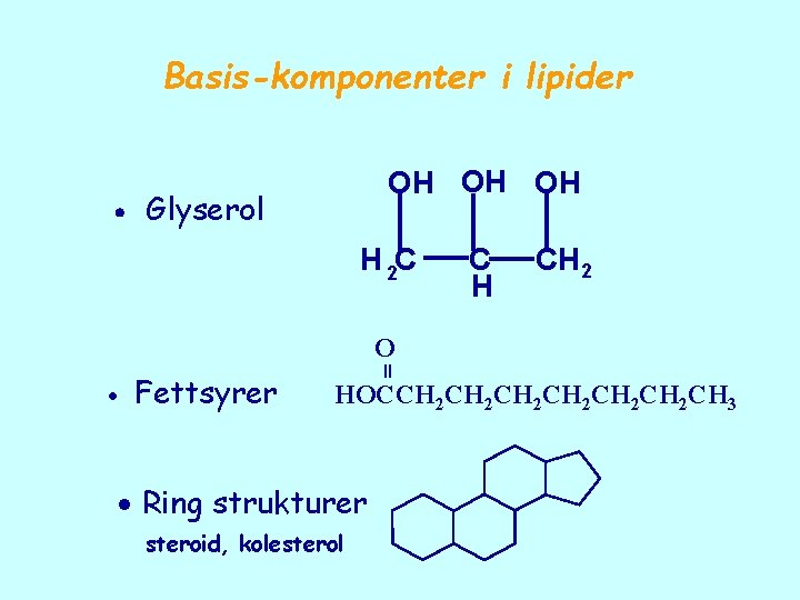 Basis-komponenter i lipider OH OH OH Glyserol H 2 C C H CH 2