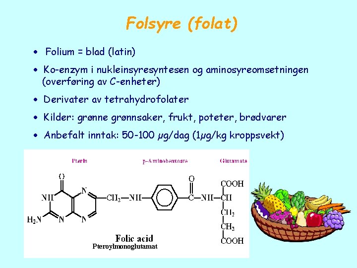 Folsyre (folat) Folium = blad (latin) Ko-enzym i nukleinsyresyntesen og aminosyreomsetningen (overføring av C-enheter)