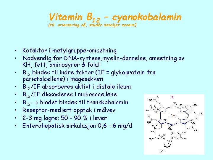 Vitamin B 12 – cyanokobalamin (til orientering nå, studér detaljer senere) • Kofaktor i