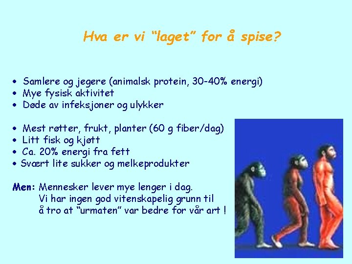 Hva er vi “laget” for å spise? Samlere og jegere (animalsk protein, 30 -40%