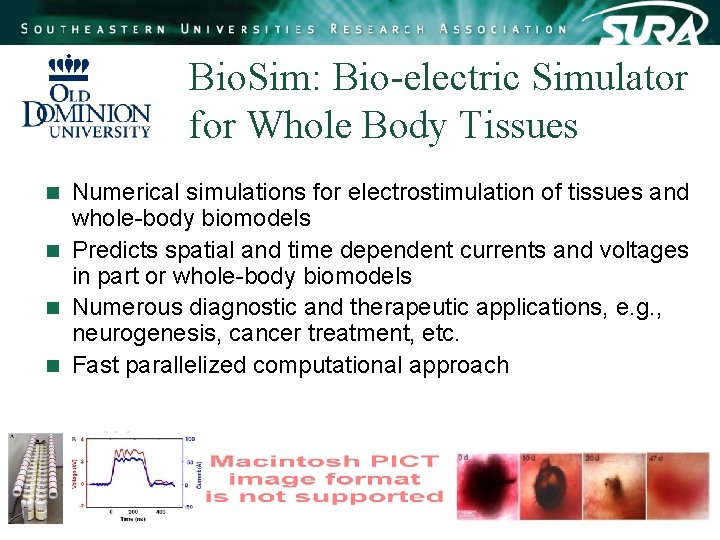 Bio. Sim: Bio-electric Simulator for Whole Body Tissues Numerical simulations for electrostimulation of tissues Bio. Sim: Bio-electric Simulator for Whole Body Tissues Numerical simulations for electrostimulation of tissues