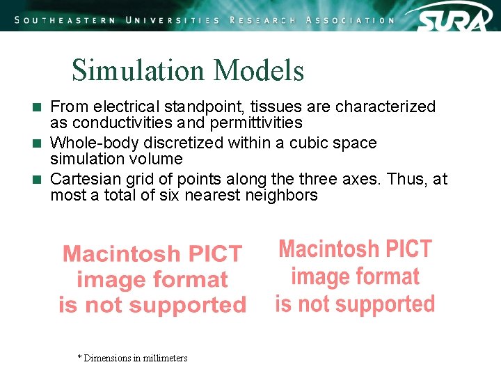 Simulation Models From electrical standpoint, tissues are characterized as conductivities and permittivities n Whole-body Simulation Models From electrical standpoint, tissues are characterized as conductivities and permittivities n Whole-body