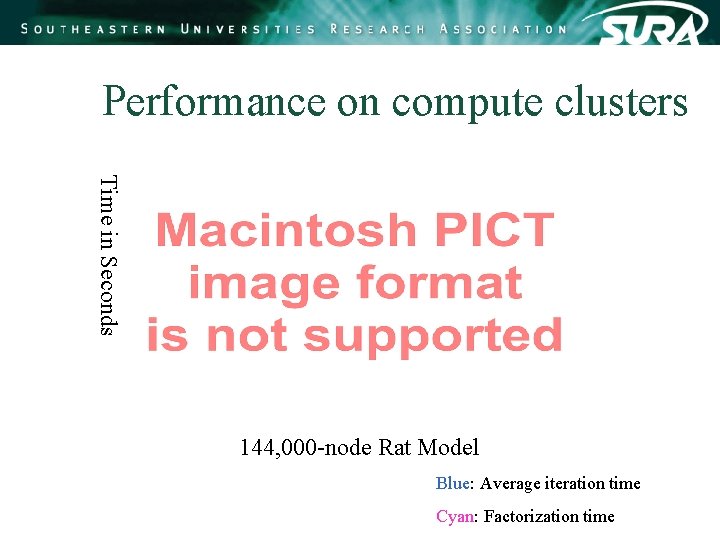 Performance on compute clusters Time in Seconds 144, 000 -node Rat Model Blue: Average Performance on compute clusters Time in Seconds 144, 000 -node Rat Model Blue: Average
