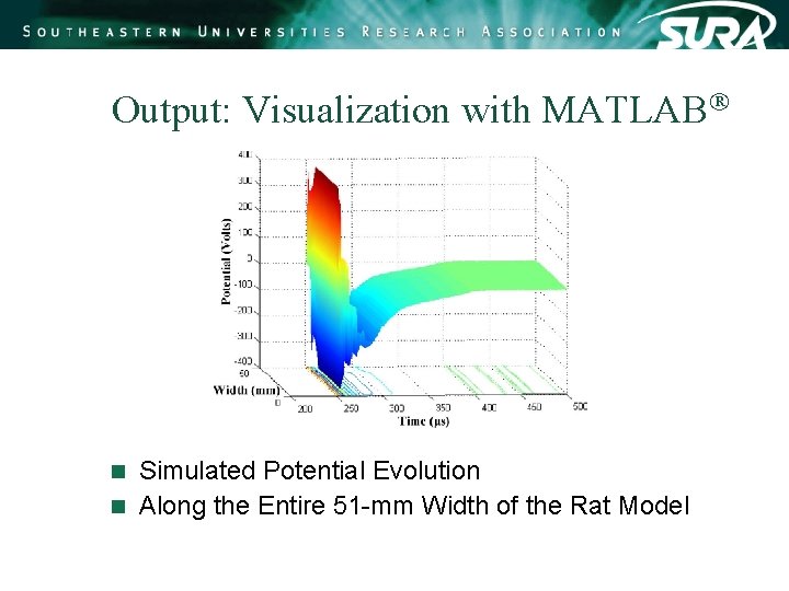 Output: Visualization with MATLAB Simulated Potential Evolution n Along the Entire 51 -mm Width Output: Visualization with MATLAB Simulated Potential Evolution n Along the Entire 51 -mm Width