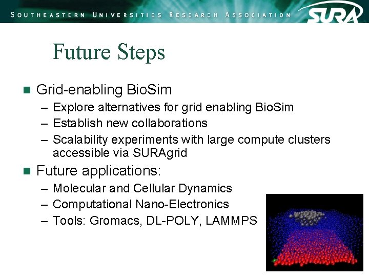 Future Steps n Grid-enabling Bio. Sim – Explore alternatives for grid enabling Bio. Sim Future Steps n Grid-enabling Bio. Sim – Explore alternatives for grid enabling Bio. Sim