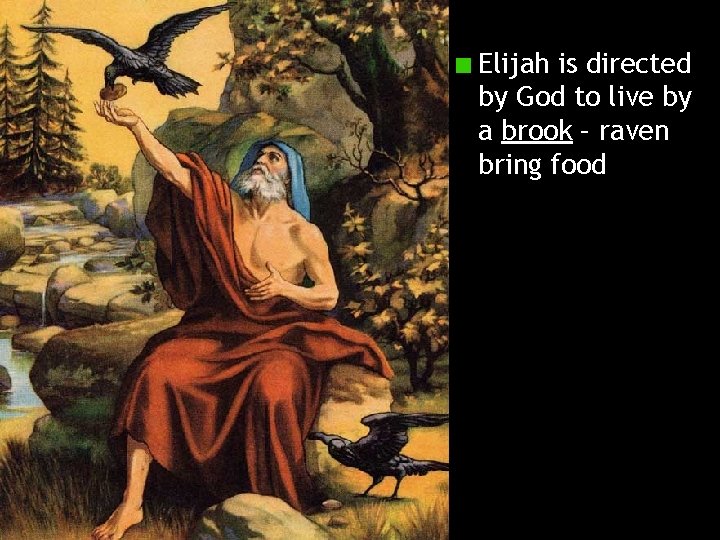 Elijah is directed by God to live by a brook – raven bring food
