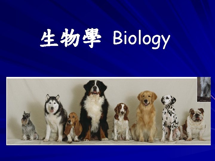 生物學 Biology 