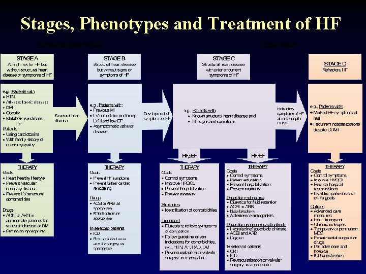 Stages, Phenotypes and Treatment of HF 