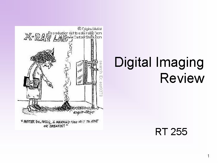 Digital Imaging Review RT 255 1 