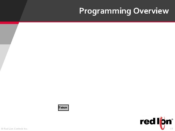 Programming Overview Future © Red Lion Controls Inc. 12 