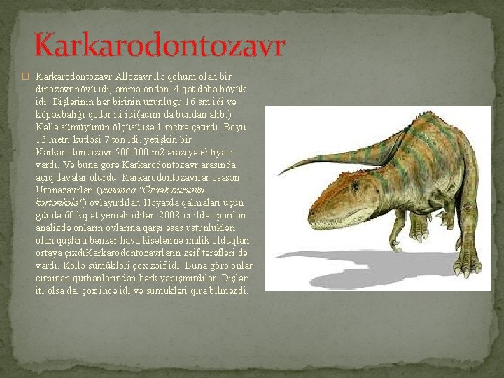 Karkarodontozavr � Karkarodontozavr Allozavr ilə qohum olan bir dinozavr növü idi, amma ondan 4