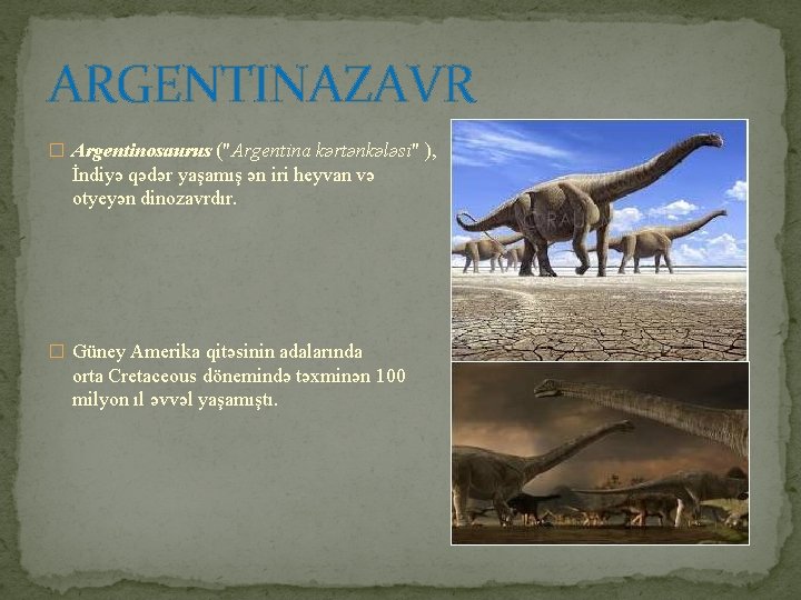 ARGENTINAZAVR � Argentinosaurus ("Argentina kərtənkələsi" ), İndiyə qədər yaşamış ən iri heyvan və otyeyən