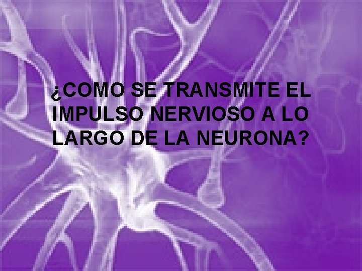 ¿COMO SE TRANSMITE EL IMPULSO NERVIOSO A LO LARGO DE LA NEURONA? 