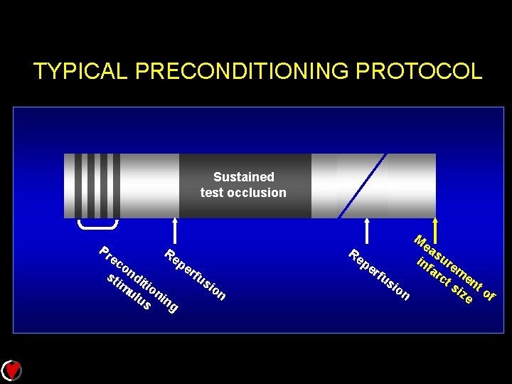 TYPICAL PRECONDITIONING PROTOCOL Sustained test occlusion Pr ec o st ndi im tio ul