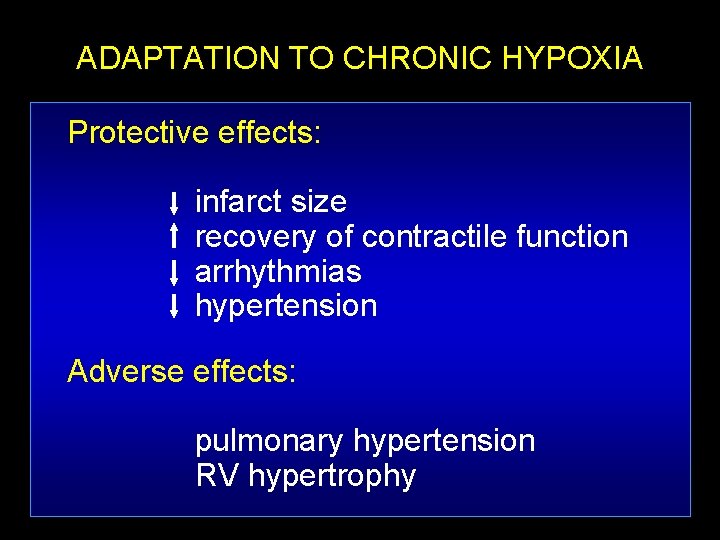 ADAPTATION TO CHRONIC HYPOXIA Protective effects: infarct size recovery of contractile function arrhythmias hypertension
