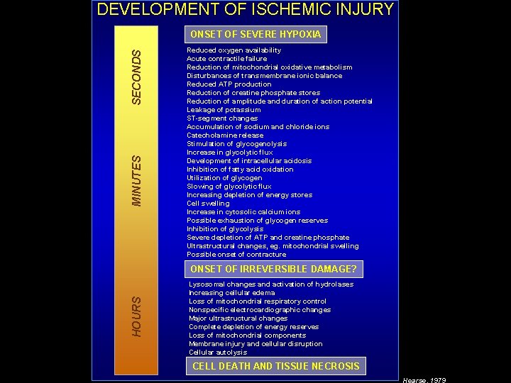 DEVELOPMENT OF ISCHEMIC INJURY MINUTES SECONDS ONSET OF SEVERE HYPOXIA Reduced oxygen availability Acute