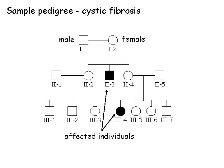 Sample pedigree - cystic fibrosis male female affected individuals 