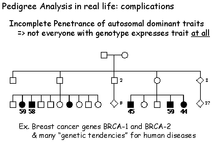 Pedigree Analysis in real life: complications Incomplete Penetrance of autosomal dominant traits => not