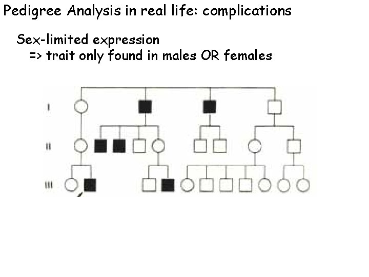 Pedigree Analysis in real life: complications Sex-limited expression => trait only found in males