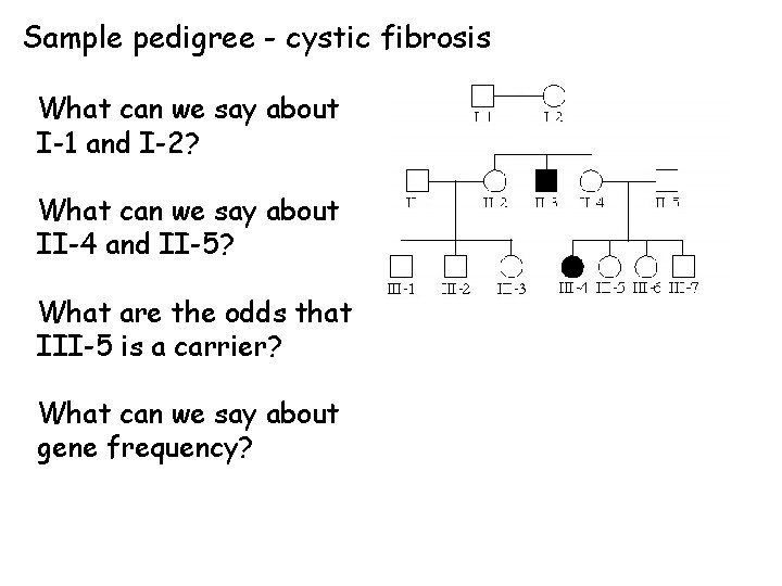 Sample pedigree - cystic fibrosis What can we say about I-1 and I-2? What
