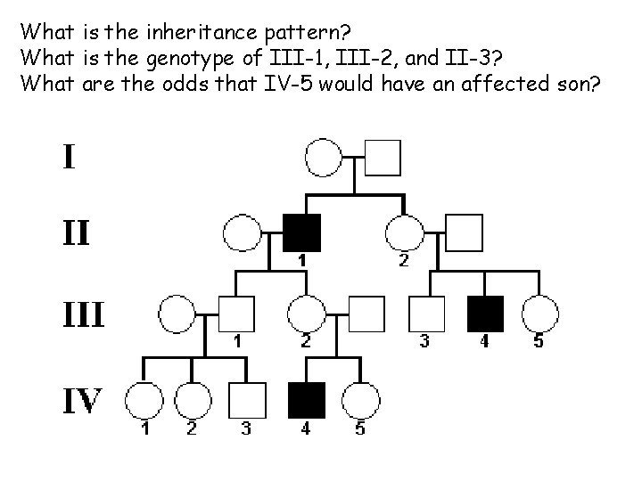 What is the inheritance pattern? What is the genotype of III-1, III-2, and II-3?