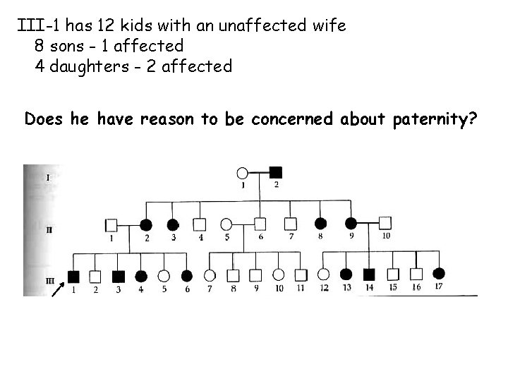 III-1 has 12 kids with an unaffected wife 8 sons - 1 affected 4