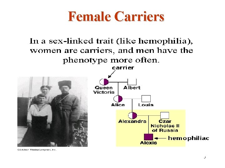 Female Carriers 5 