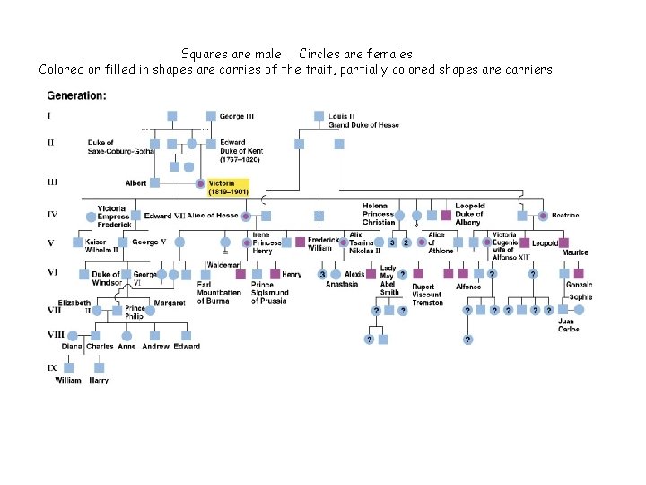 Squares are male Circles are females Colored or filled in shapes are carries of