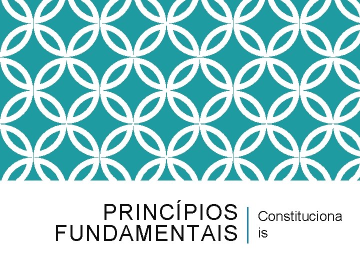 PRINCÍPIOS FUNDAMENTAIS Constituciona is 