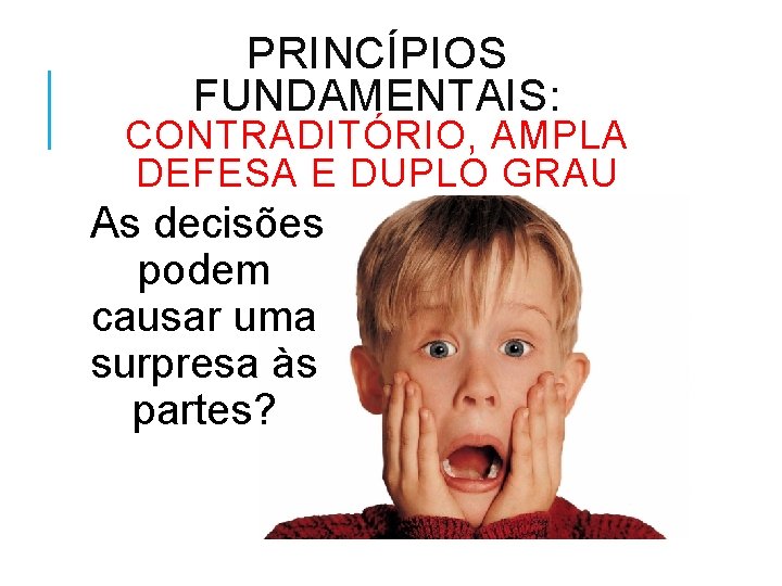 PRINCÍPIOS FUNDAMENTAIS: CONTRADITÓRIO, AMPLA DEFESA E DUPLO GRAU As decisões podem causar uma surpresa