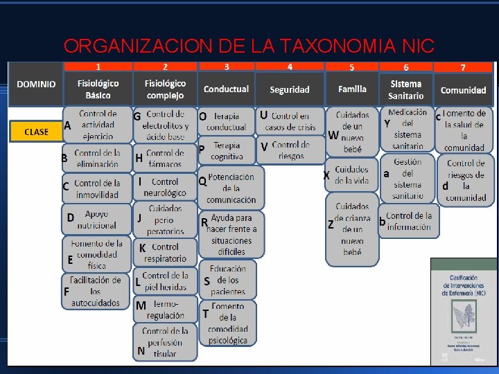 ORGANIZACION DE LA TAXONOMIA NIC 