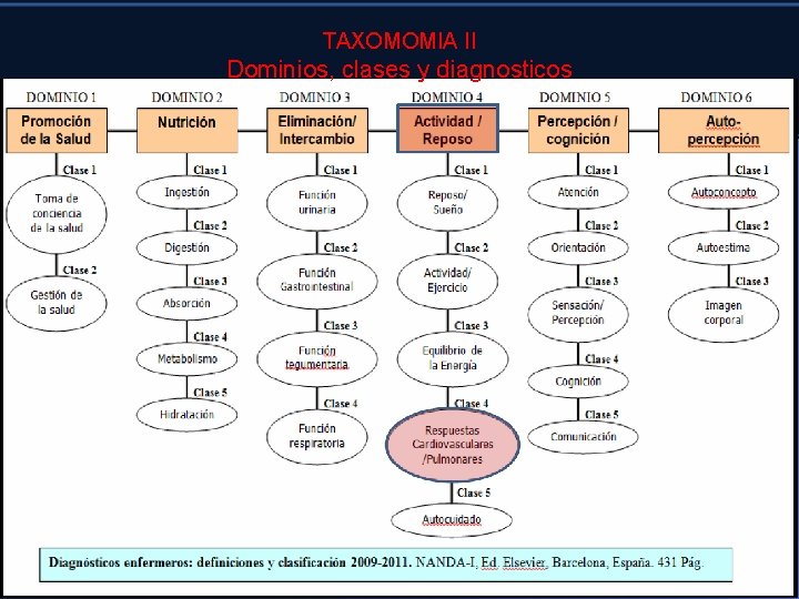 TAXOMOMIA II Dominios, clases y diagnosticos 