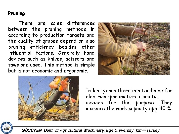 Pruning There are some differences between the pruning methods in according to production targets