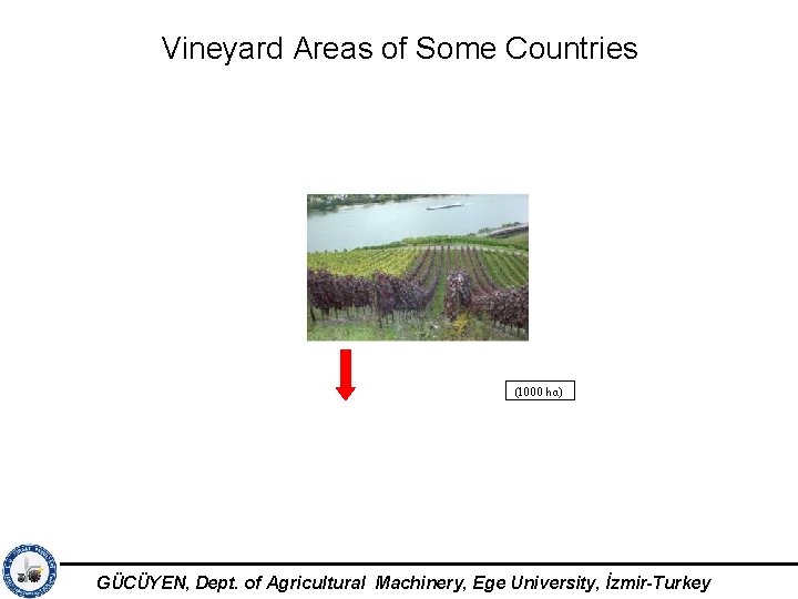 Vineyard Areas of Some Countries (1000 ha) GÜCÜYEN, Dept. of Agricultural Machinery, Ege University,