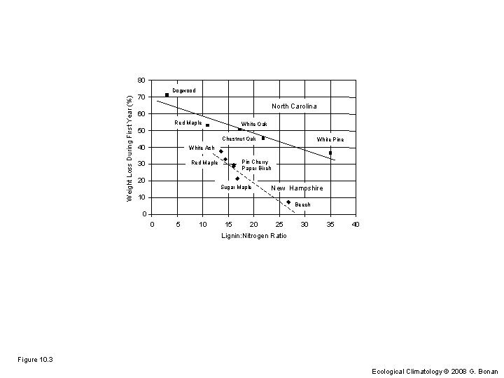 Weight Loss During First Year (%) 80 Dogwood 70 North Carolina 60 Red Maple