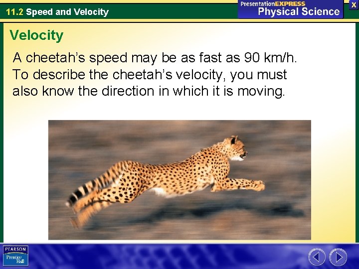 11. 2 Speed and Velocity A cheetah’s speed may be as fast as 90