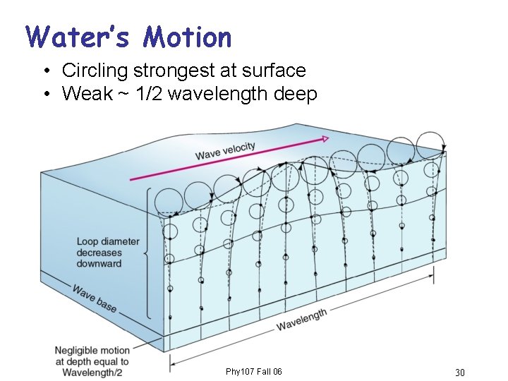 Water’s Motion • Circling strongest at surface • Weak ~ 1/2 wavelength deep Phy