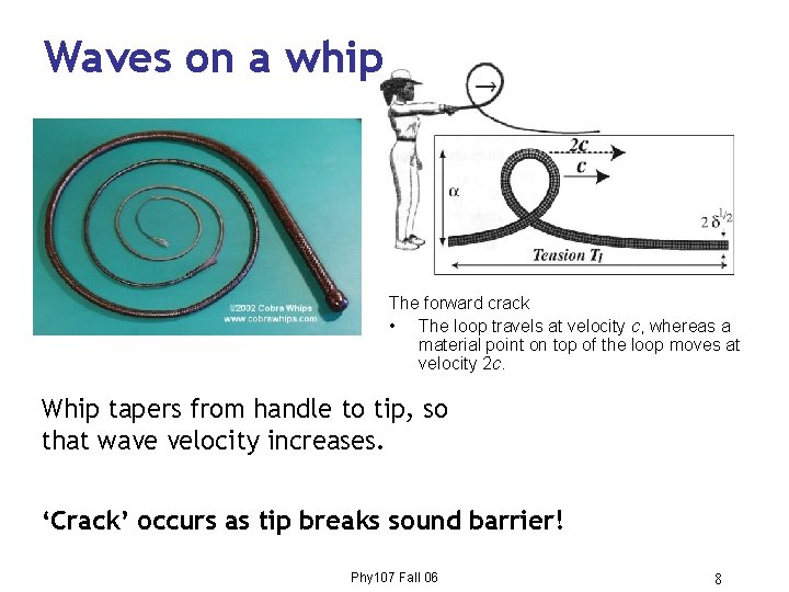 Waves on a whip The forward crack • The loop travels at velocity c,