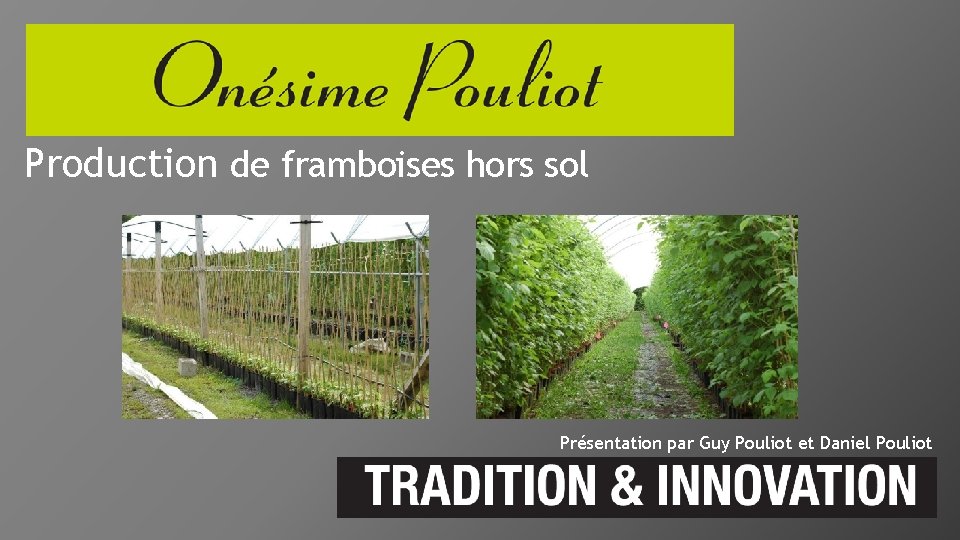 Production de framboises hors sol Présentation par Guy Pouliot et Daniel Pouliot 