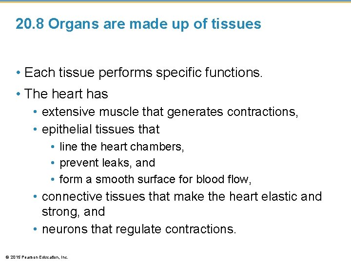 20. 8 Organs are made up of tissues • Each tissue performs specific functions.